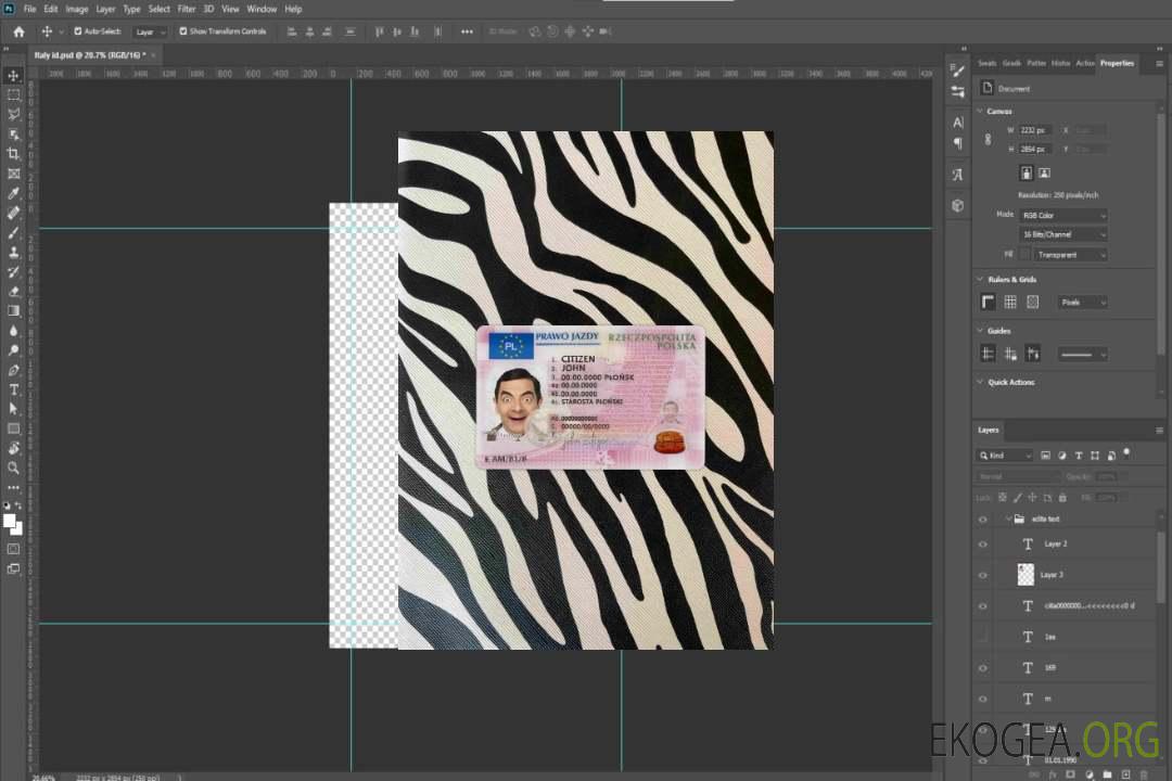 Pologne DL 2019 - présent photolook AVANT template Pologne DL 2019 - présent photolook AVANT template